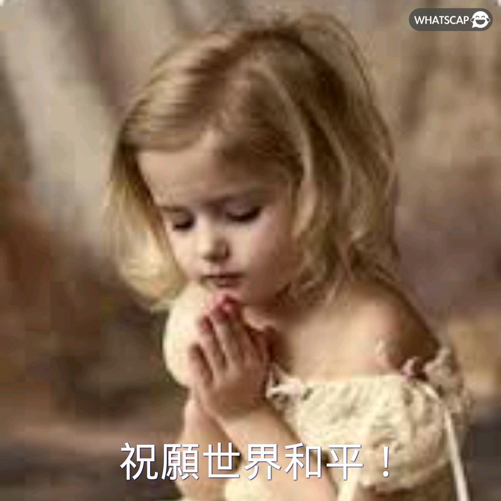 张琳芃获伊,万科维奇高,度评价,开云客服,客服中心入口,在线客服支持,客户服务平台,帮助中心