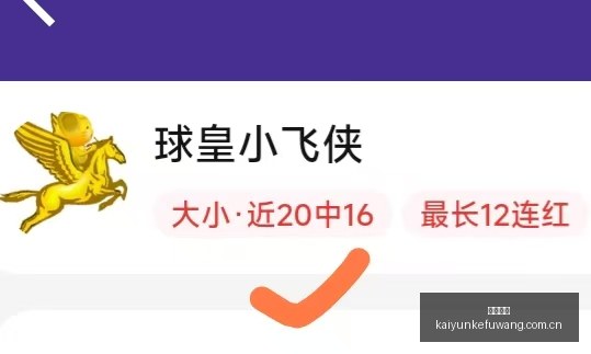 南美杯焦点,解析,博卡青年,开云客服,客服中心入口,在线客服支持,客户服务平台,帮助中心